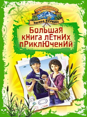 cover image of Большая книга летних приключений